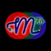 Logo retro digital con una letra 'm' o 'mt' estilizada en azul, superpuesta sobre formas ovaladas rojas y azul-verdosas entrelazadas.